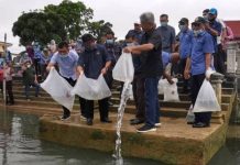 Belanjawan 2021 perkasa sektor pertanian