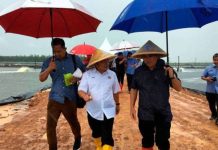 Perkasa pertanian, agromakanan