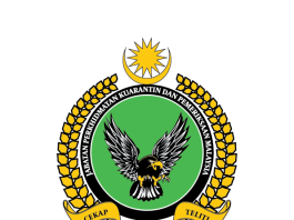maqis
