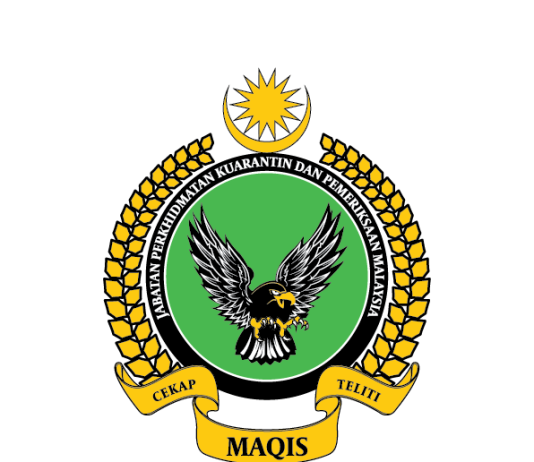 maqis