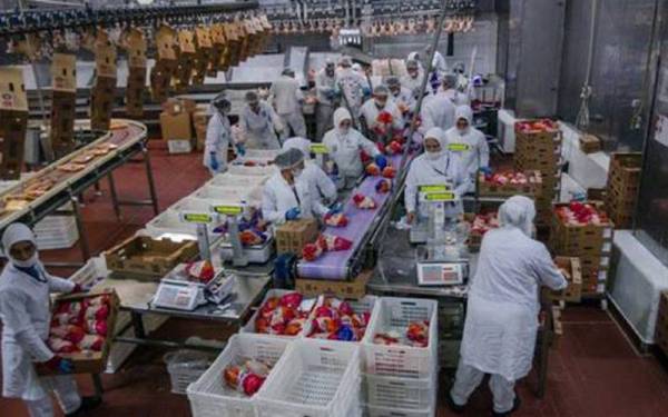 Pengecualian sewa kepada usahawan PKS terjejas Covid-19 di Sarawak