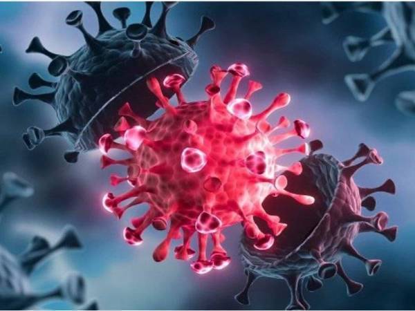 Lagi 384 varian Delta dikesan