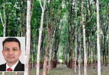 Bajet 2022 medan realisasi harga getah sekerap RM3.50 sekilogram