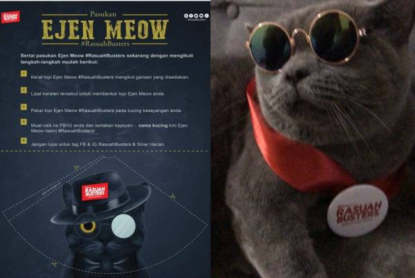 Dapatkan topi khas Ejen Meow esok Dapatkan topi khas Ejen Meow esok