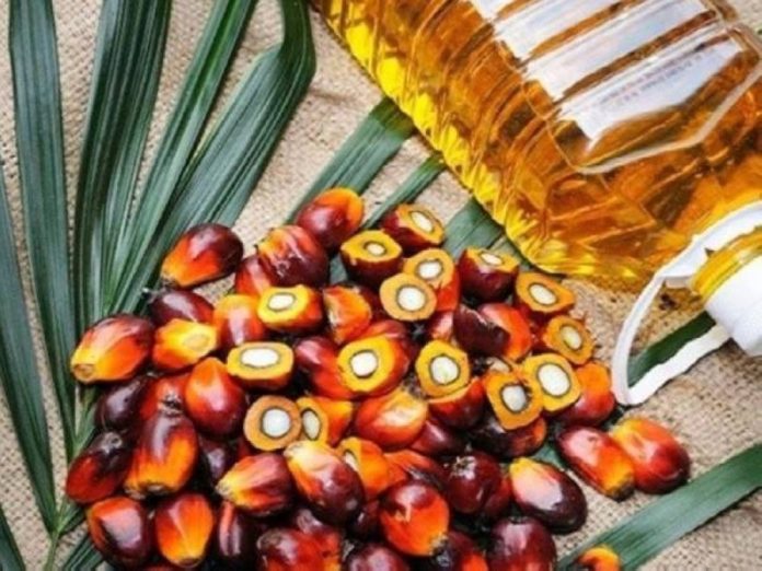 Bajet perlu beri tumpuan kepada pertumbuhan intensif: MPOB
