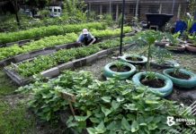 Bajet 2023: Perkasakan Agropreneur Muda