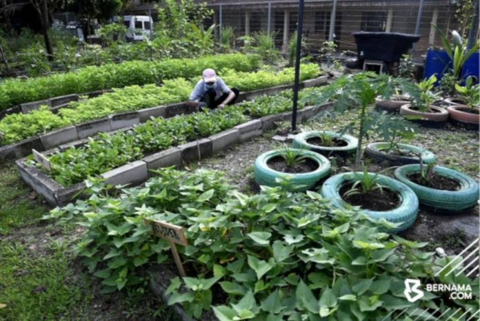 Bajet 2023: Perkasakan Agropreneur Muda