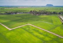Belanjawan 2023: Sumbangan tunai ringan beban pesawah